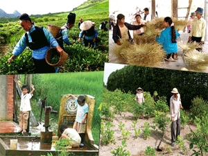 ຫວຽດນາມສູ້ຊົນຫຼຸດຜ່ອນອັດຕາຄອບຄົວທຸກຍາກແຕ່ 1,3 ຫາ 1,5%  ໃນປີ 2016